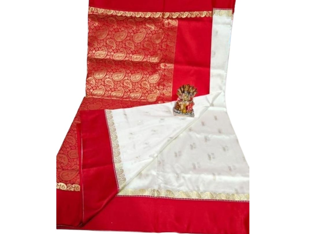 पल्लू विंग डिज़ाइन जरी साड़ी