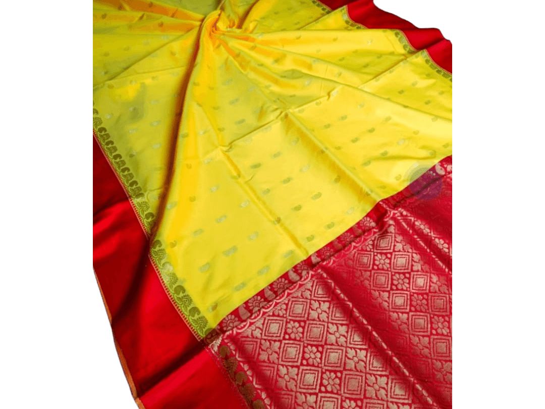 जरी सभी शरीर साड़ी